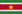 GUYANA & SURINAME