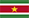 CT Suriname